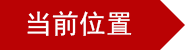 郑州张一绝餐饮集团官网|张一绝官网|郑州张一绝|张一绝黄焖鸡|张一绝瓦香鸡|张一绝鲜炒鸡